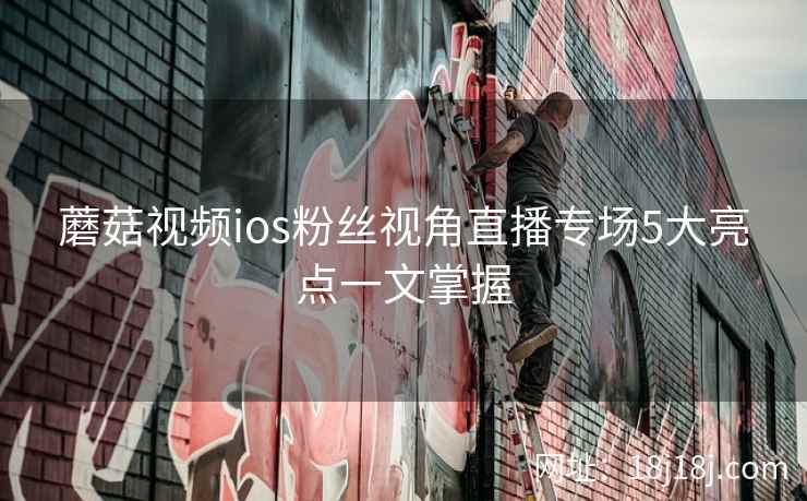 蘑菇视频ios粉丝视角直播专场5大亮点一文掌握