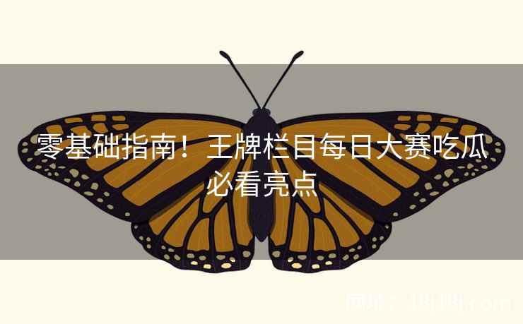 零基础指南！王牌栏目每日大赛吃瓜必看亮点