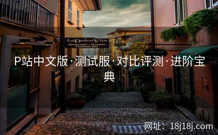P站中文版·测试服·对比评测·进阶宝典