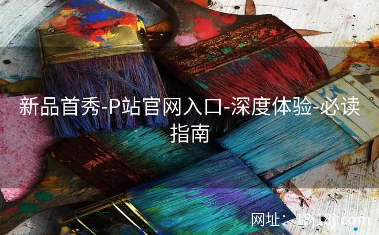 新品首秀-P站官网入口-深度体验-必读指南