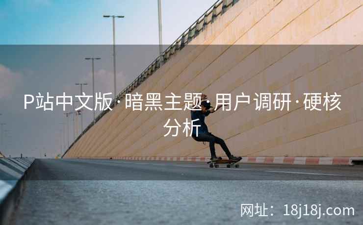 P站中文版·暗黑主题·用户调研·硬核分析 P站中文版·暗黑主题·用户调研·硬核分析